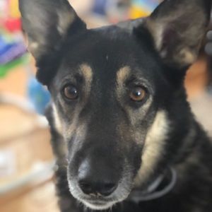 Meet your Posher, Michele